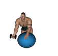 Reverse Row - Fitness Ball Dumbbell
